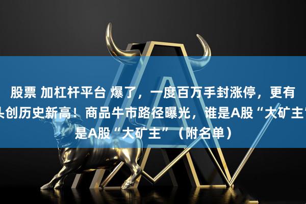 股票 加杠杆平台 爆了，一度百万手封涨停，更有4500亿龙头创历史新高！商品牛市路径曝光，谁是A股“大矿主”（附名单）