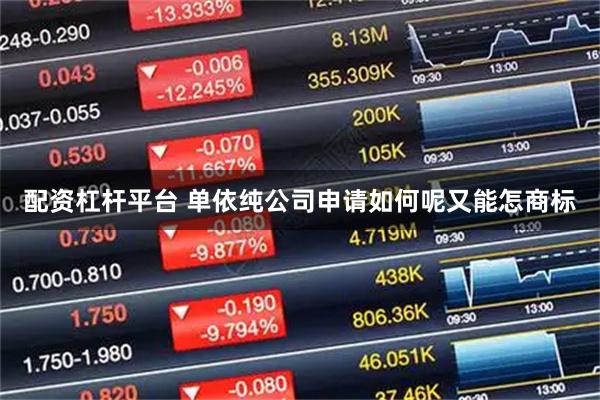配资杠杆平台 单依纯公司申请如何呢又能怎商标